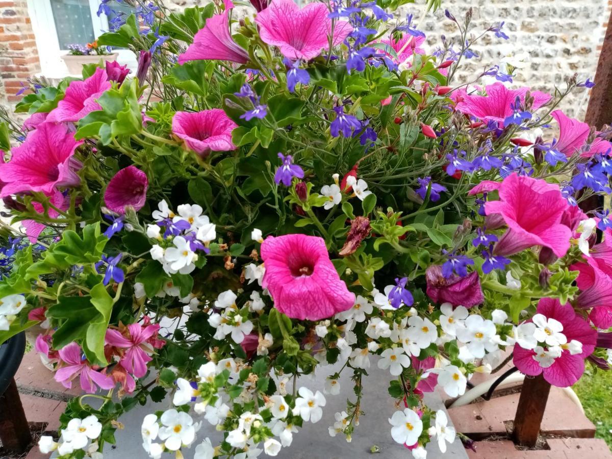 Le Grenier D'Isafil Bed & Breakfast Bordeaux-Saint-Clair Luaran gambar